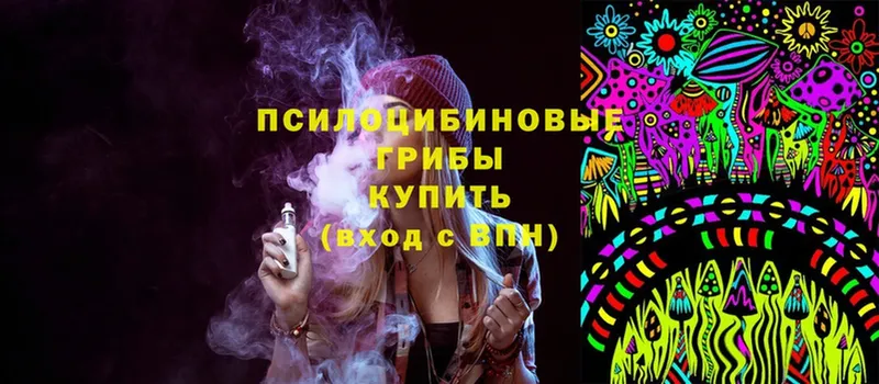 Псилоцибиновые грибы Magic Shrooms  Кстово 